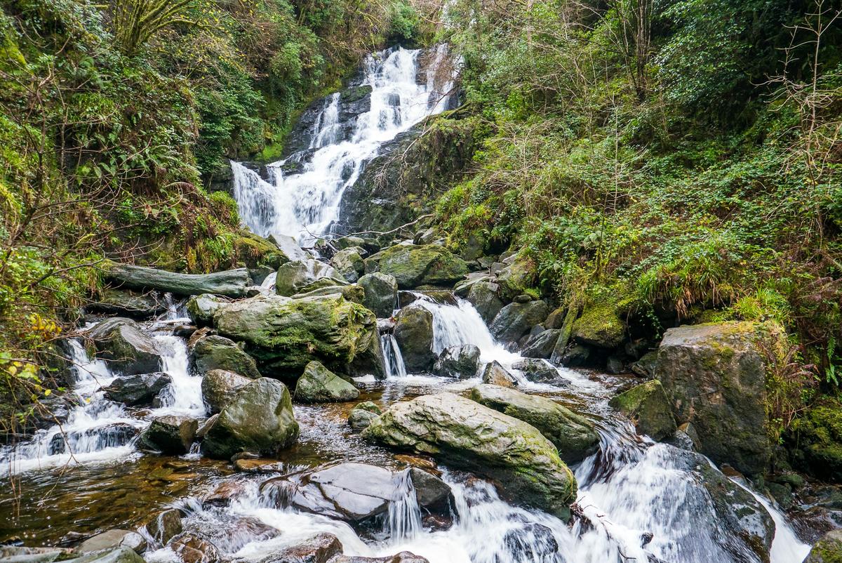 Torc Waterfall in the woods