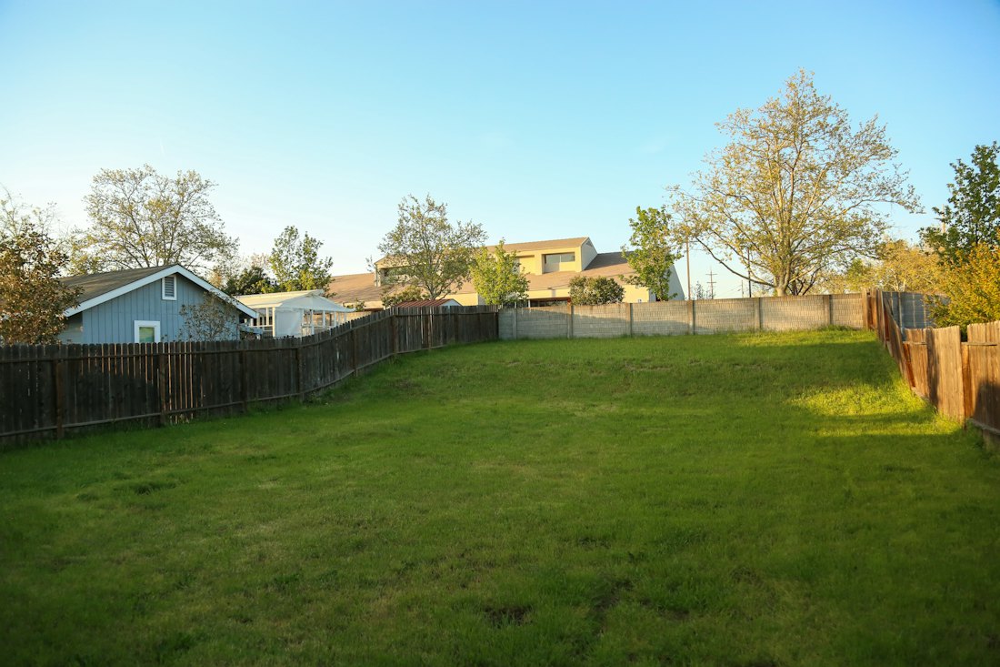 Bare lawn before the project
