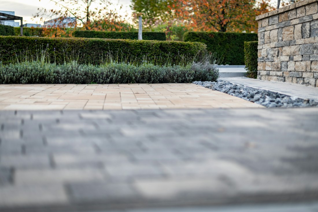 Modern paved patio with hedging
